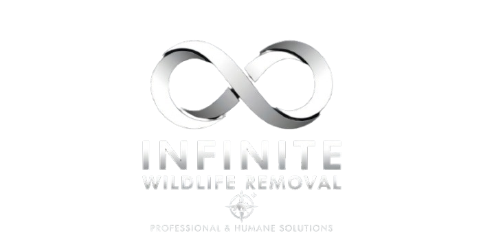 Infinite Wildlife Removal